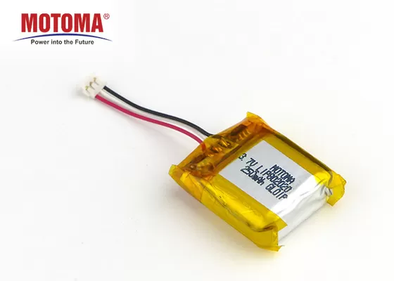 500 volte 250mah Mini Lithium Ion Battery 8*20*20mm per l'inseguitore dell'animale domestico